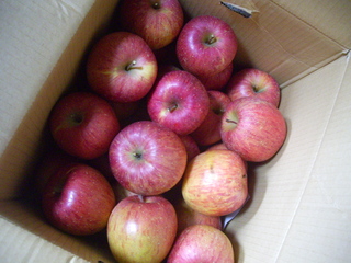 IMGP7177.JPG