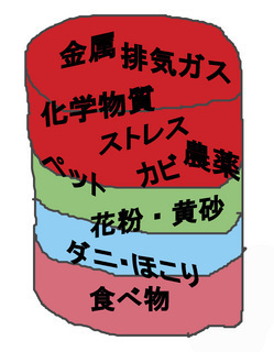 E382A2E383ACE383ABE382AEE383BCE381AEE382B3E38394E3832BC-thumbnail2.jpg