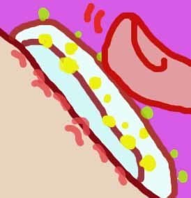 名称未---設定 1.jpg